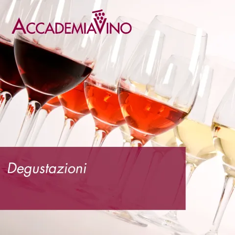 Degustazioni – Tecniche di produzione: i vini macerati