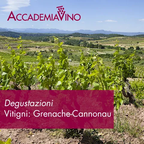 Degustazioni vino – Vitigni: grenache-cannonau