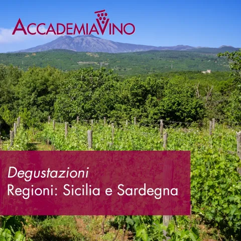 Degustazioni vino – Regioni: Sicilia e Sardegna