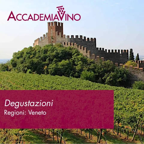 Degustazioni vino – Regioni: Veneto