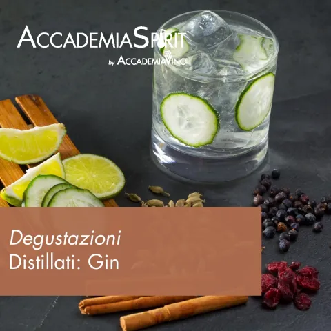 Degustazioni di approfondimento sui distillati – Distillati: gin