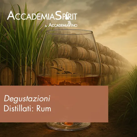 Degustazioni di approfondimento sui distillati – Distillati: rum