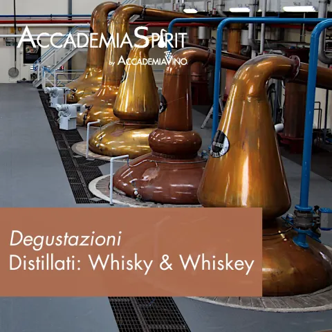 Degustazioni di approfondimento sui distillati – Distillati: whisky & whiskey