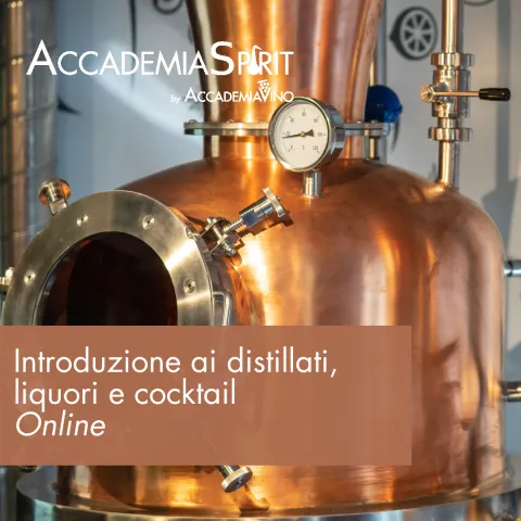 Introduzione ai distillati, liquori e cocktail