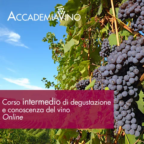 Corso intermedio di degustazione e conoscenza del vino